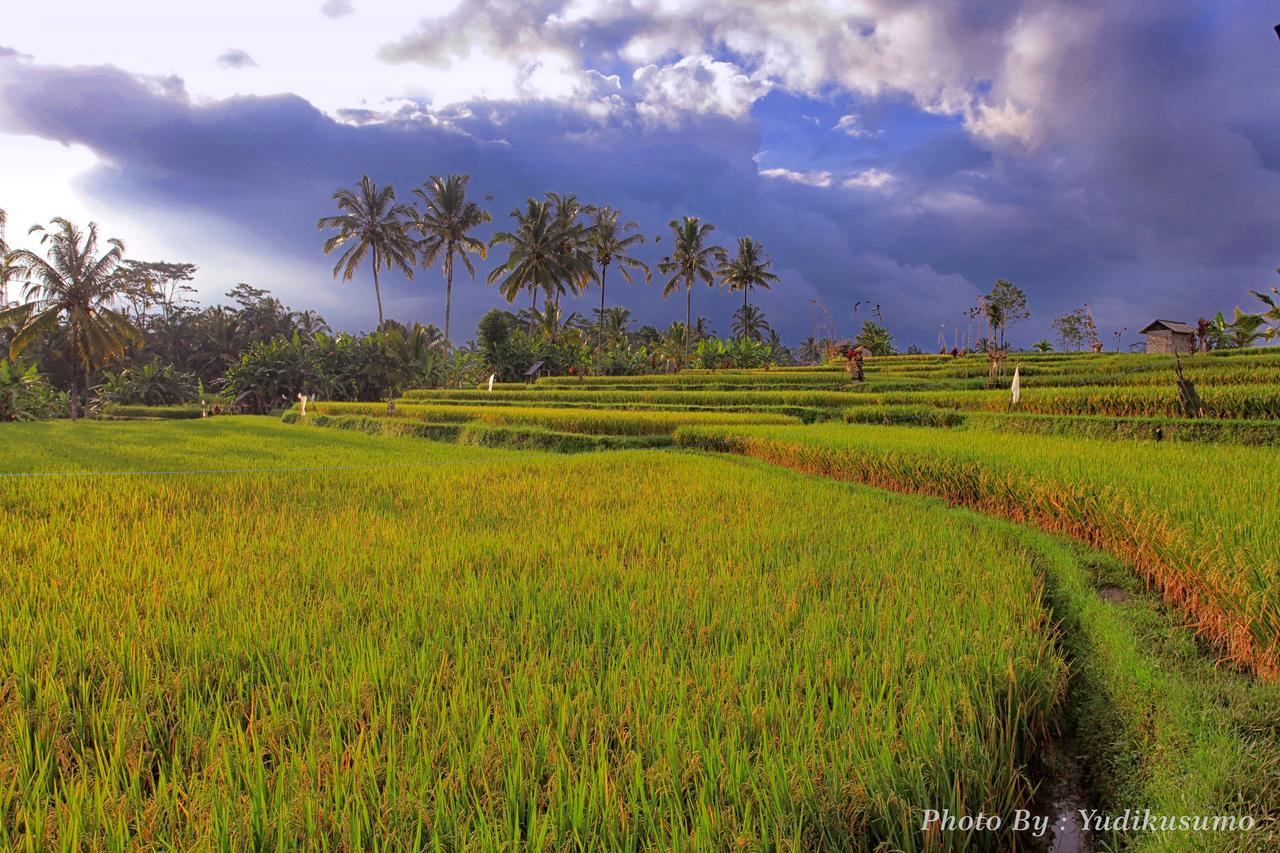Tetirah Boutique Hotel Ubud  Exterior photo