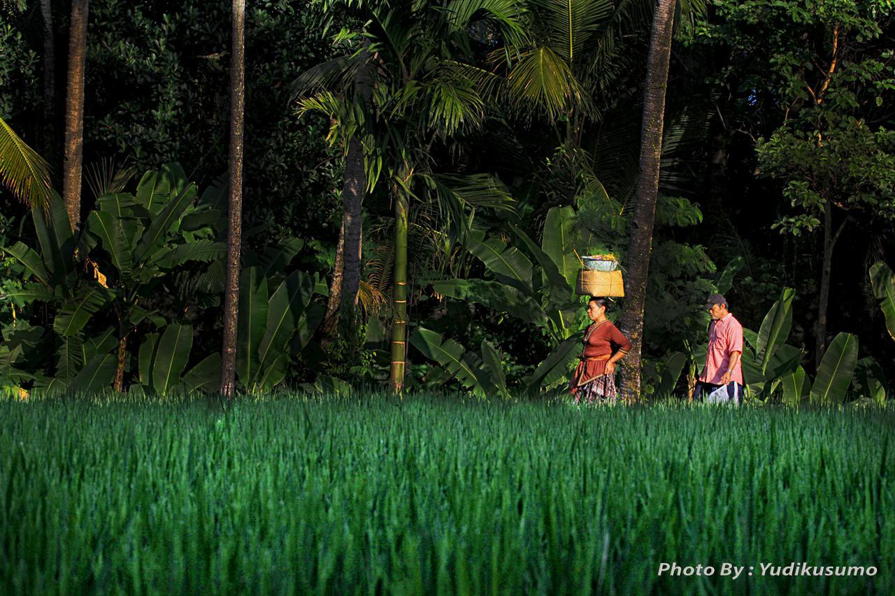 Tetirah Boutique Hotel Ubud  Exterior photo